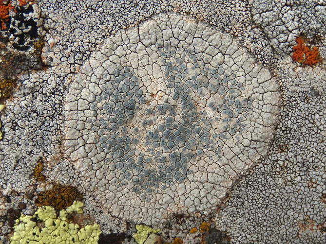 sull''arenaria della Laga